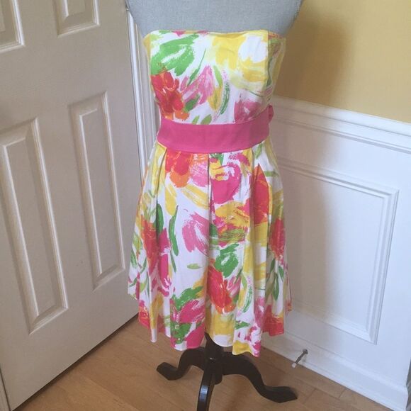 Alyn Paige New York Color Splash Dress - Picture 1 of 7